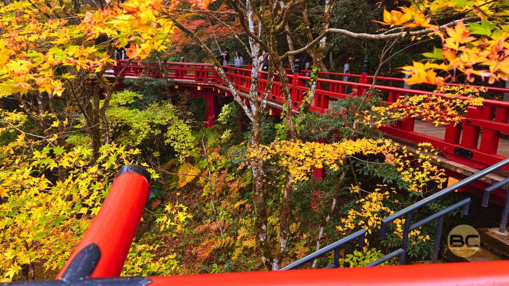 紅葉と赤い橋（ふうげつ橋）が見事にマッチしています。