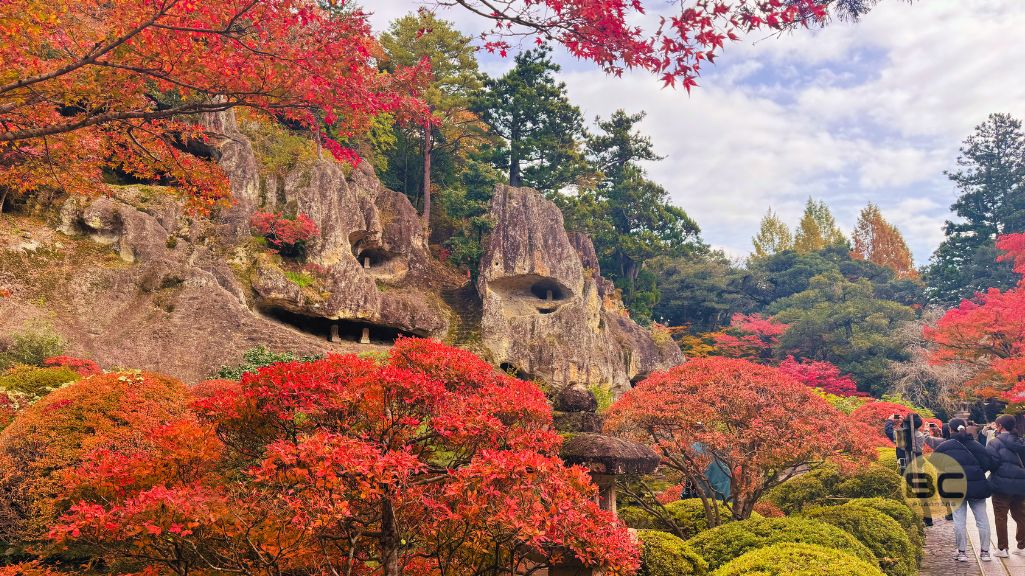 那谷寺に行ってきました！
那谷寺の奇岩遊仙境、紅葉と白い奇岩が織りなす唯一無二の景観