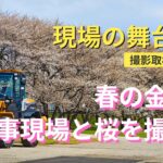 春の金沢、工事現場と桜を撮れ！