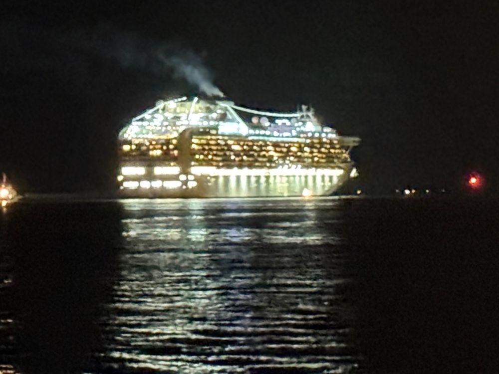 映画『フロントライン』にも登場した豪華客船、ダイヤモンド・プリンセス号。金沢港の夜空の下、船体が力強く煌めきながら航海へ。